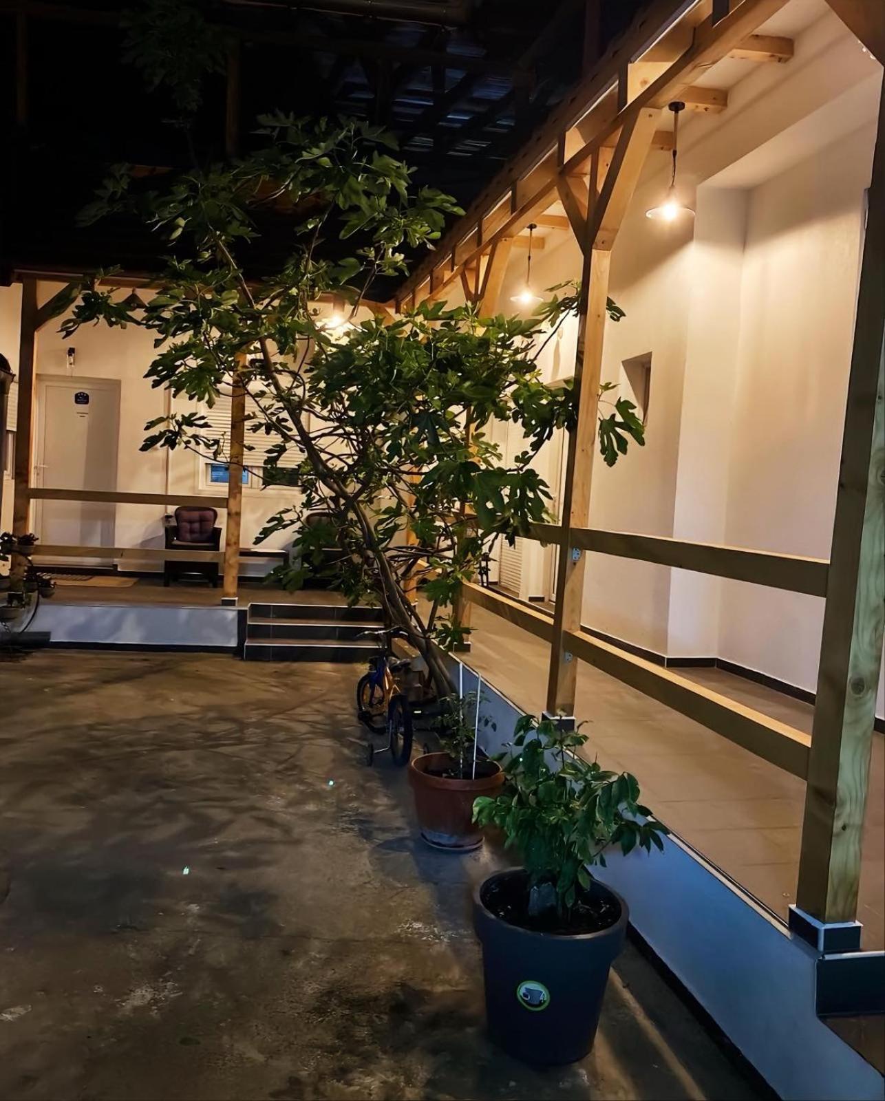Apartman Nika Požarevac エクステリア 写真